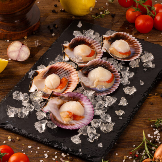 Cappasanta mezzo guscio